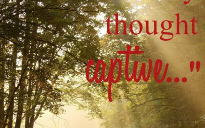 In a Perfect World…