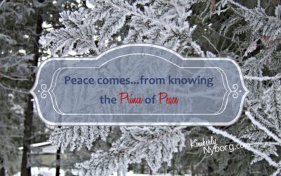 It’s the Most Wonderful Time…