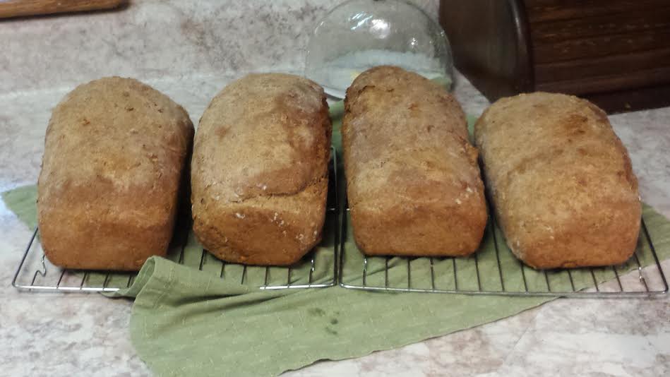 Oatmeal Bread2