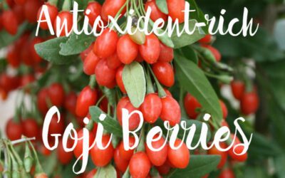 On a Health Note…Antioxidants