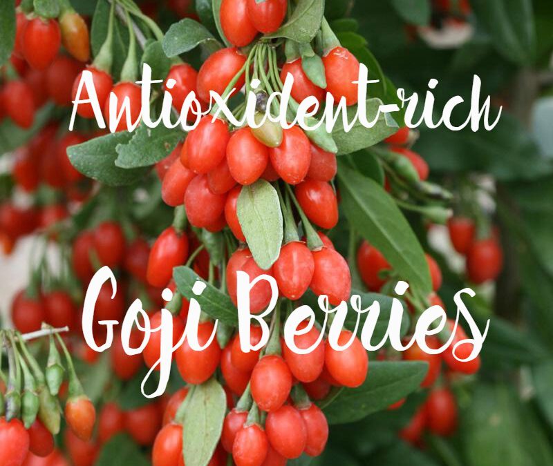 On a Health Note…Antioxidants
