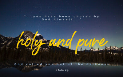 Everybody Has a Story