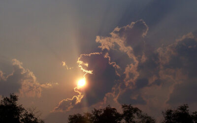 Is There a Prodigal in Your Life?