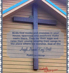 My Home, My Sanctuary…